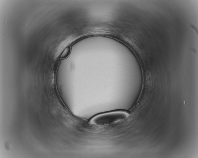 X0000100981461200807081232