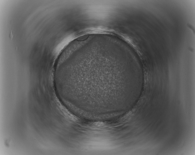 X0000100981463200807081232