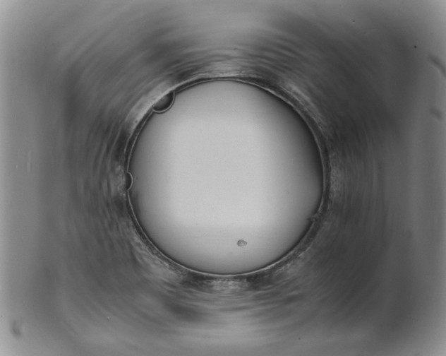 X0000100981465200807081232