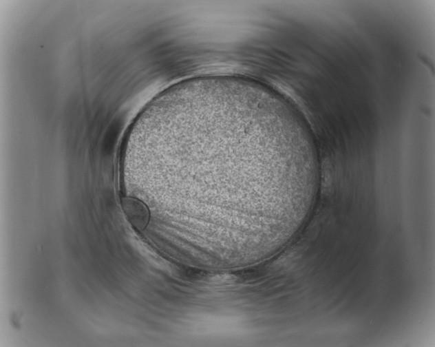 X0000100981467200807081232