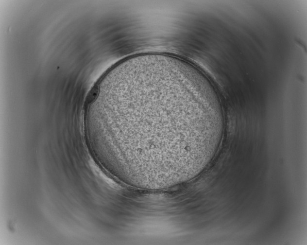 X0000100981468200807081232