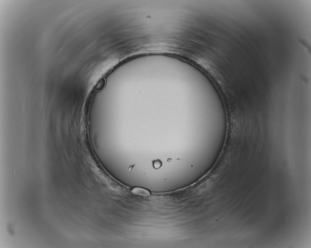 X0000100981469200807081232