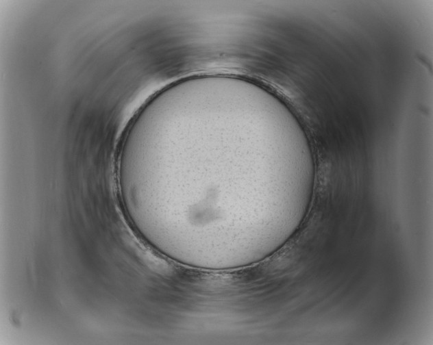 X0000100981470200807081232