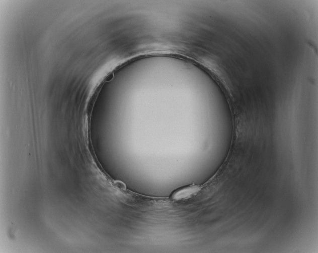 X0000100981472200807081232