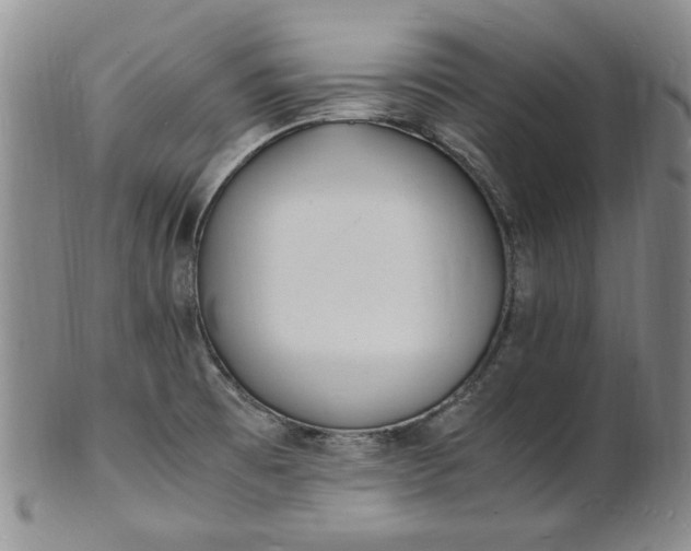 X0000100981473200807081232