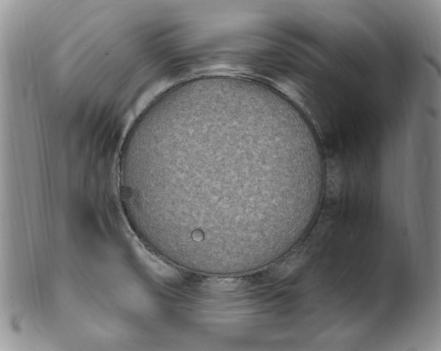 X0000100981474200807081232