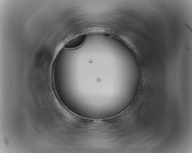 X0000100981475200807081232