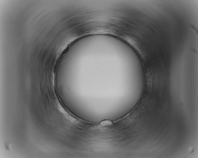 X0000100981476200807081232