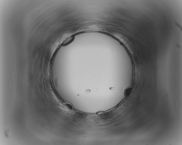 X0000100981477200807081232