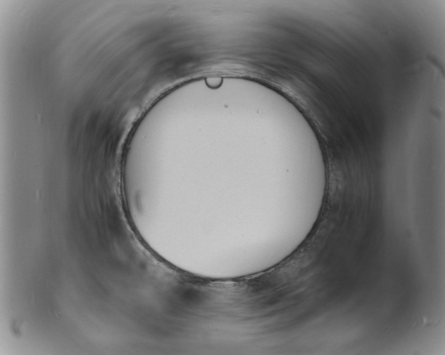 X0000100981478200807081232