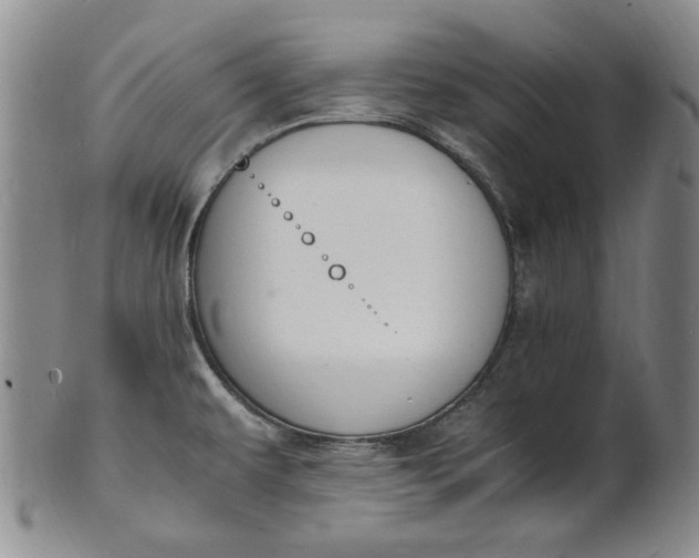 X0000100981479200807081232