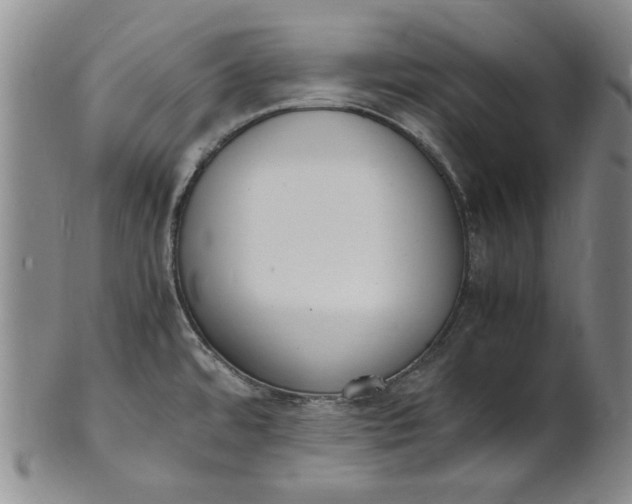 X0000100981480200807081232