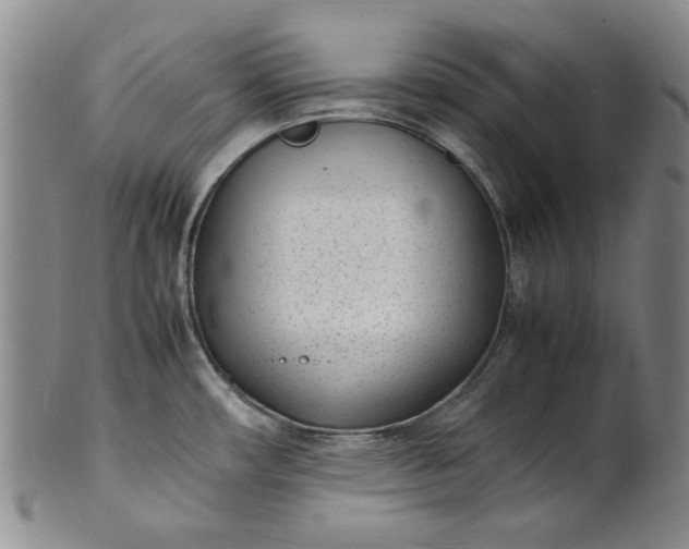 X0000100981482200807081232