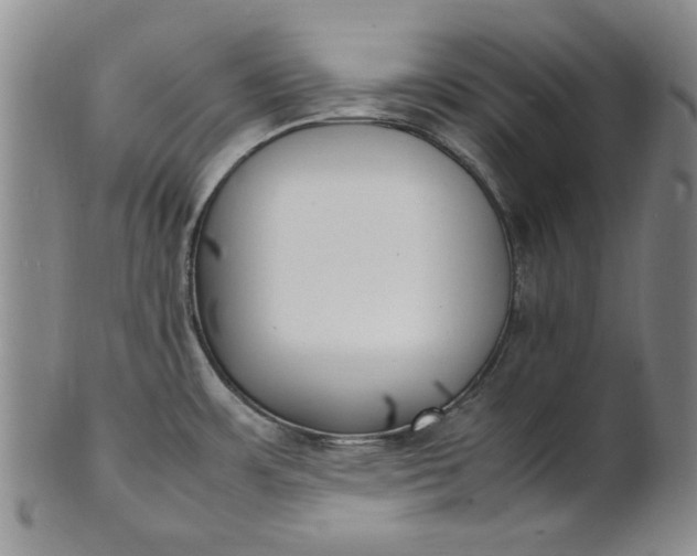 X0000100981483200807081231