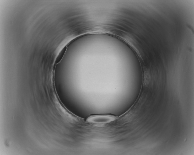 X0000100981484200807081231