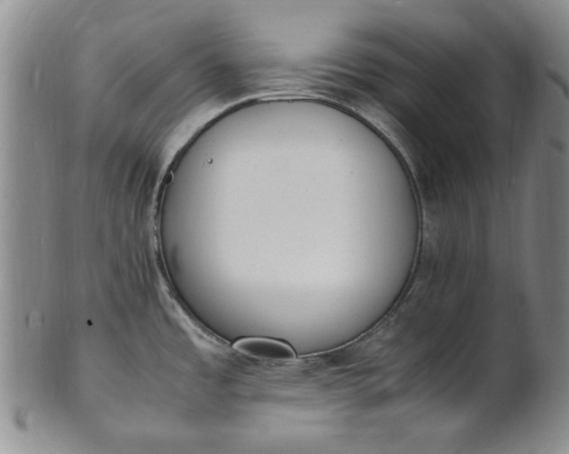 X0000100981485200807081231