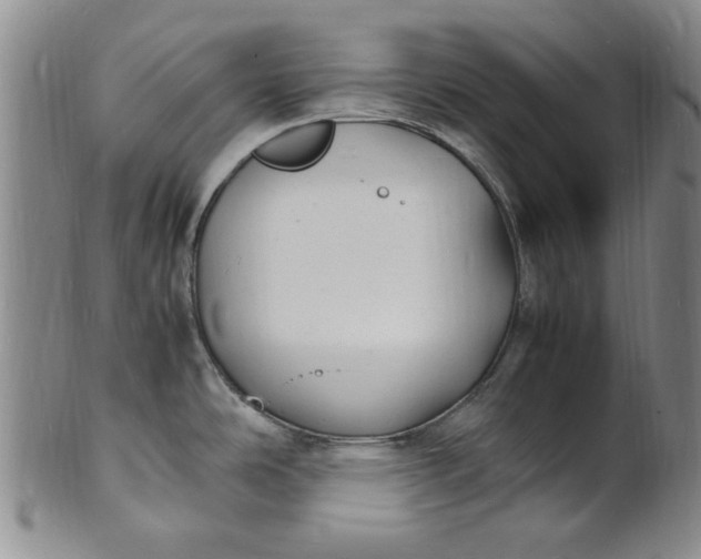 X0000100981486200807081231