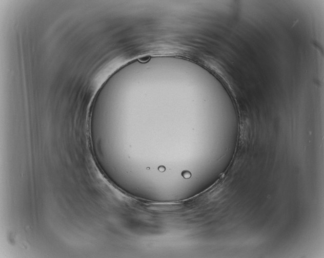 X0000100981487200807081231