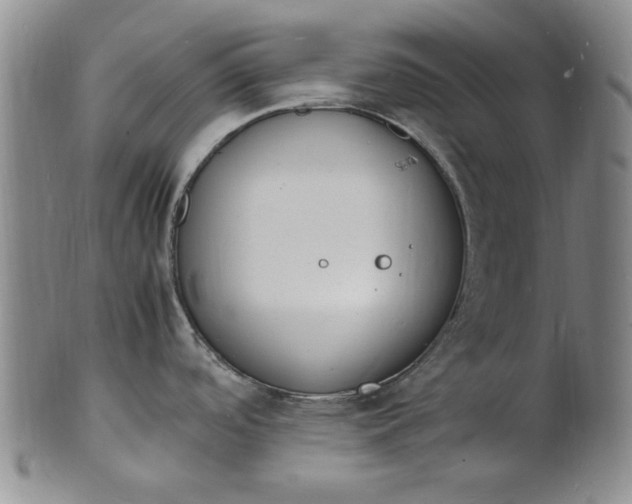 X0000100981488200807081231