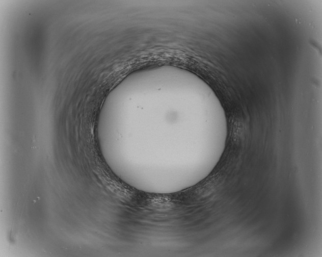 X0000100981489200807081231