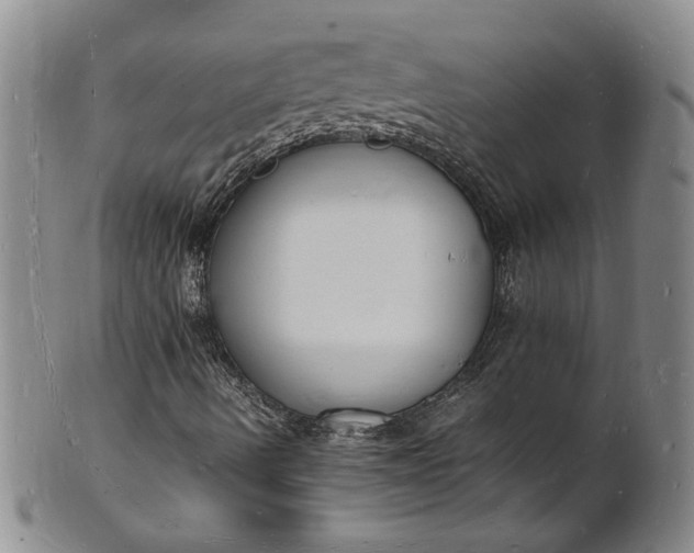 X0000100981490200807081231