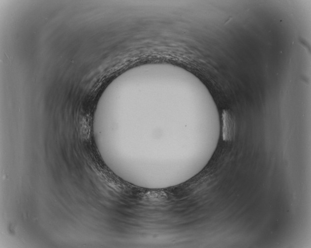 X0000100981491200807081231