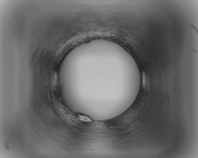 X0000100981492200807081231