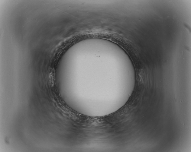 X0000100981493200807081231