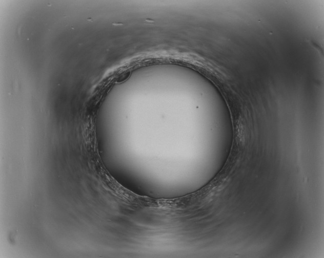 X0000100981494200807081231