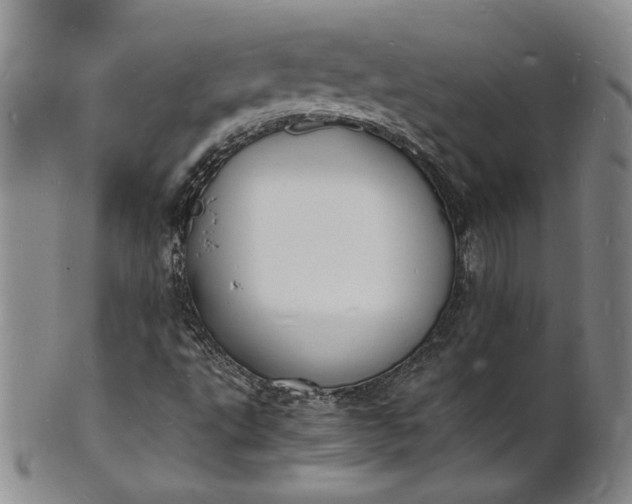 X0000100981495200807081231