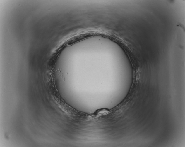 X0000100981496200807081231