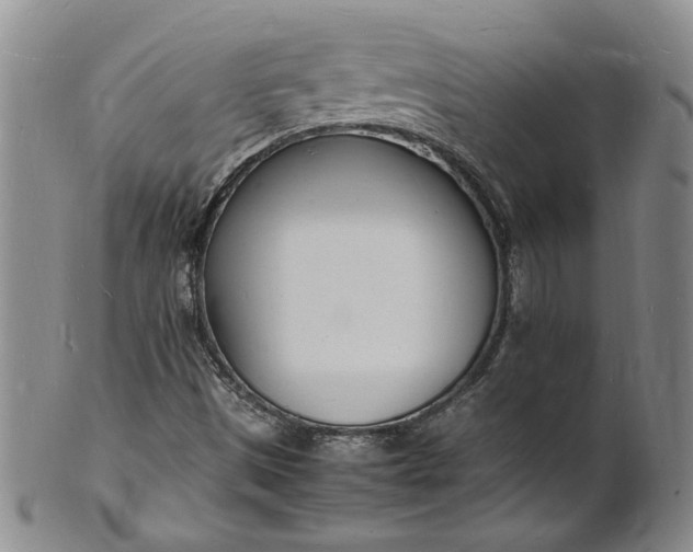 X0000100981497200807081231