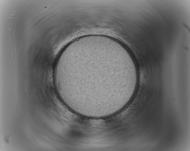 X0000100981498200807081231