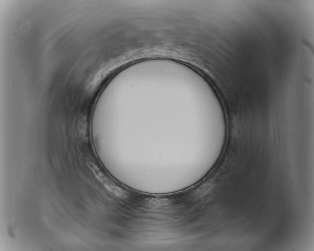 X0000100981499200807081231