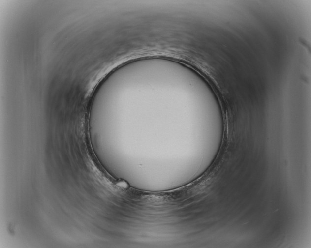 X0000100981500200807081231