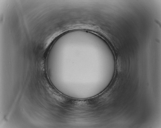 X0000100981501200807081231