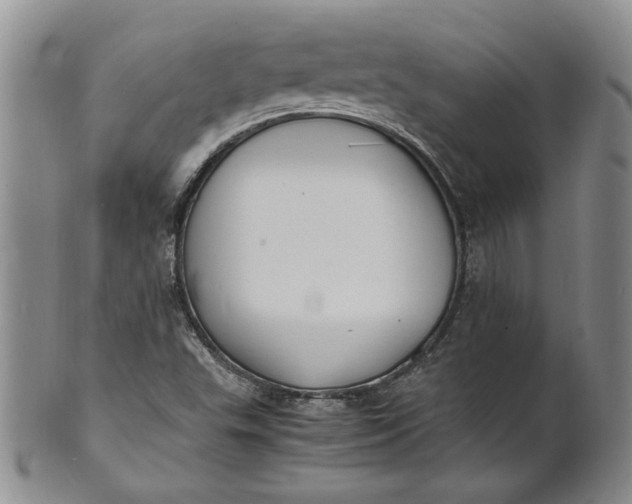 X0000100981503200807081231