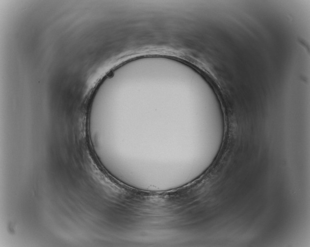 X0000100981504200807081231