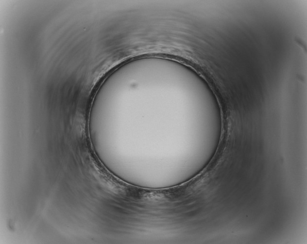 X0000100981505200807081231