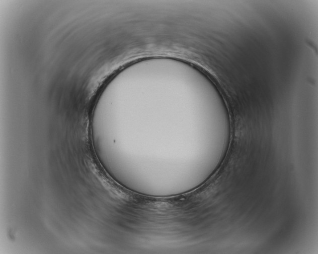 X0000100981507200807081231