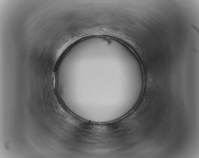 X0000100981509200807081231