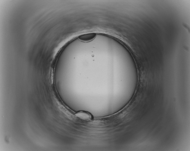 X0000100981510200807081231