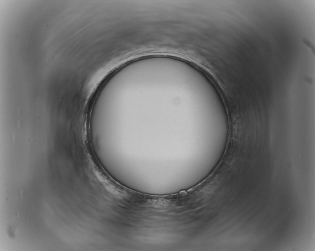 X0000100981511200807081231