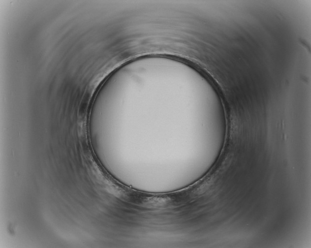 X0000100981513200807081231