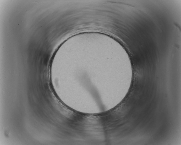 X0000100981514200807081231