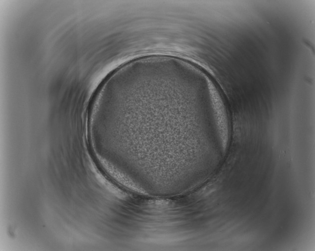 X0000100981515200807081231