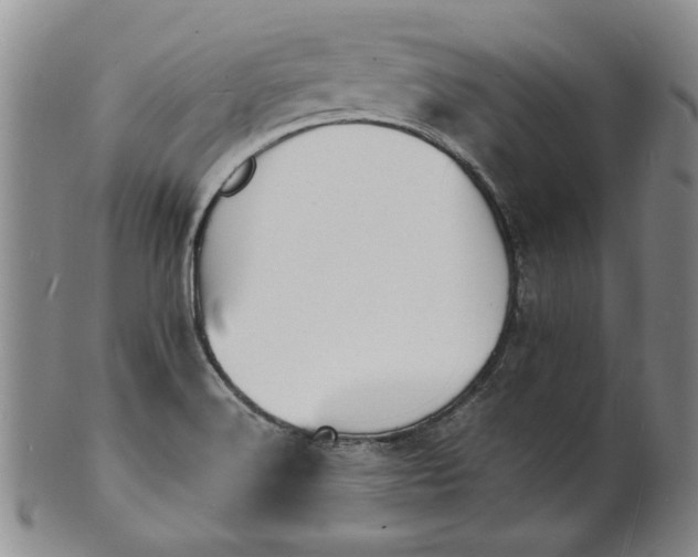 X0000100981516200807081231