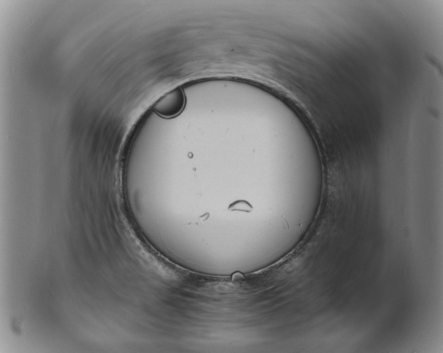 X0000100981517200807081231