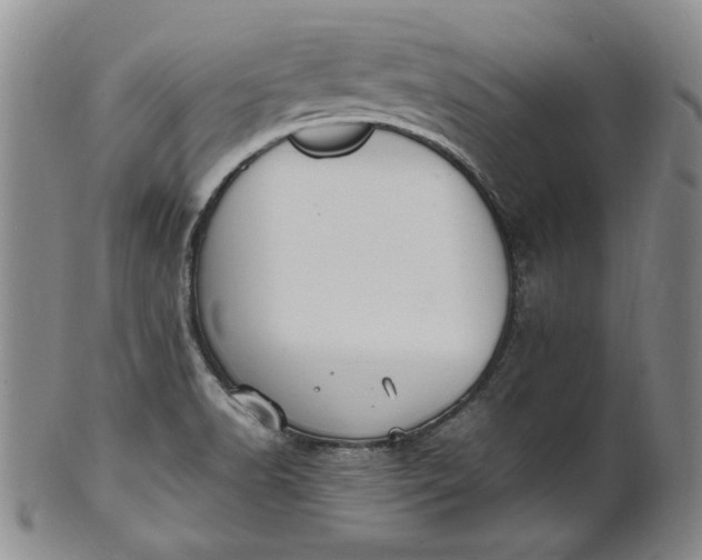 X0000100981518200807081231