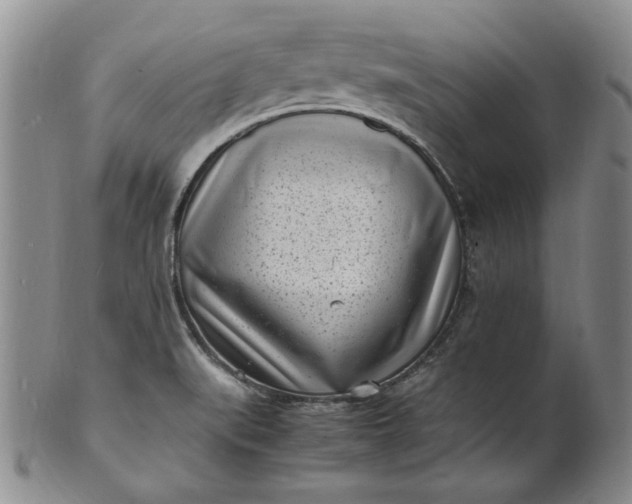 X0000100981519200807081231